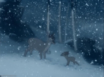 Bambi and his mother during winter